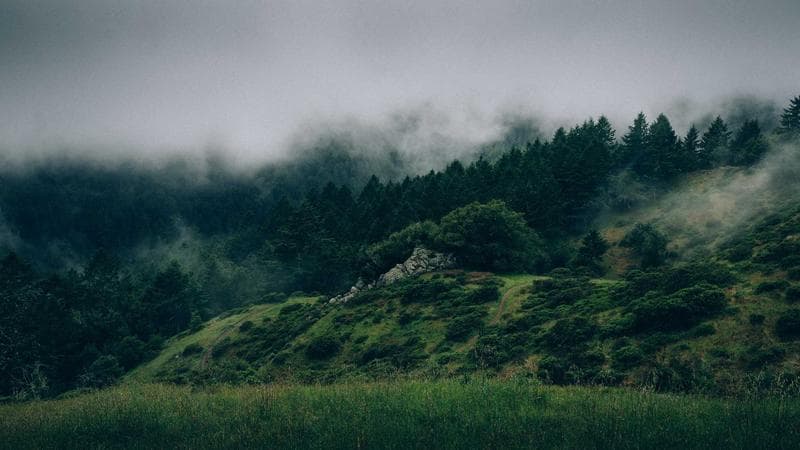 Episode 3 — The Missing Reel