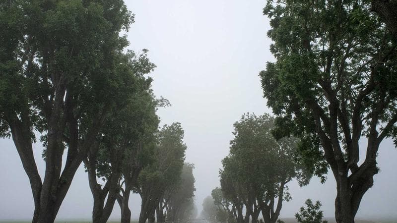 Episode 2 — The Private Cut