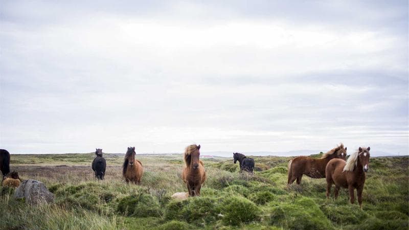 Episode 3 — The Missing Reel