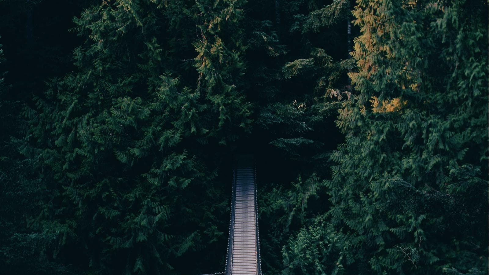Ambience
