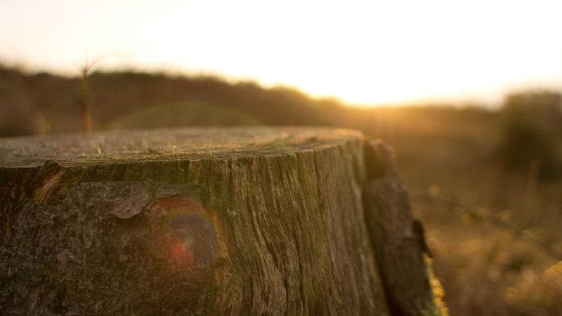 Episode 6 — The Morning Light
